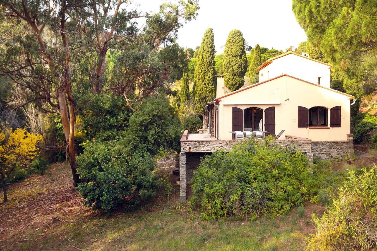 Mas De La Croette Collioure Villa Екстериор снимка